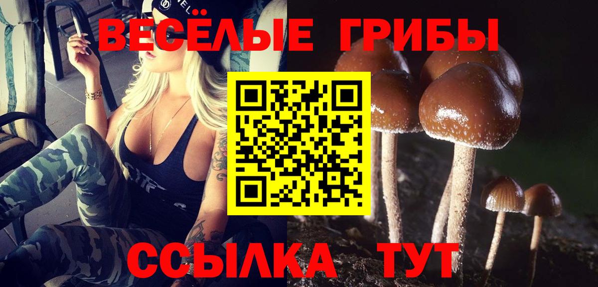 Галлюциногенные грибы мухоморы Берёзовский
