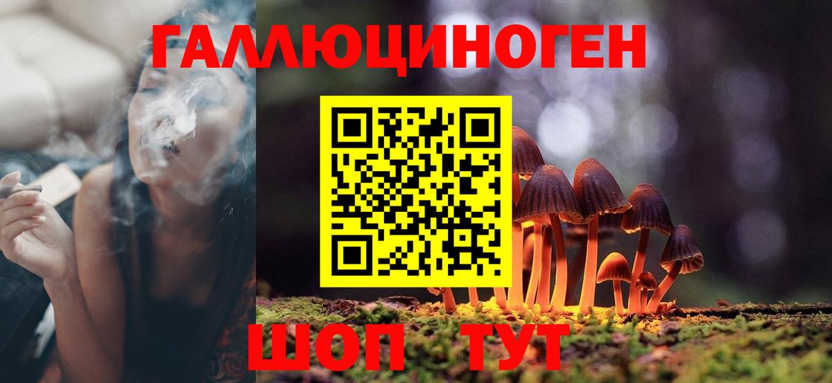 Псилоцибиновые грибы мухоморы  Псилоцибиновые грибы Psilocybe  Берёзовский  Вход с VPN 